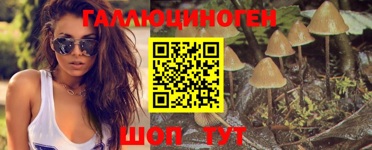 Джанкой  Галлюциногенные грибы мухоморы  Вход с VPN 